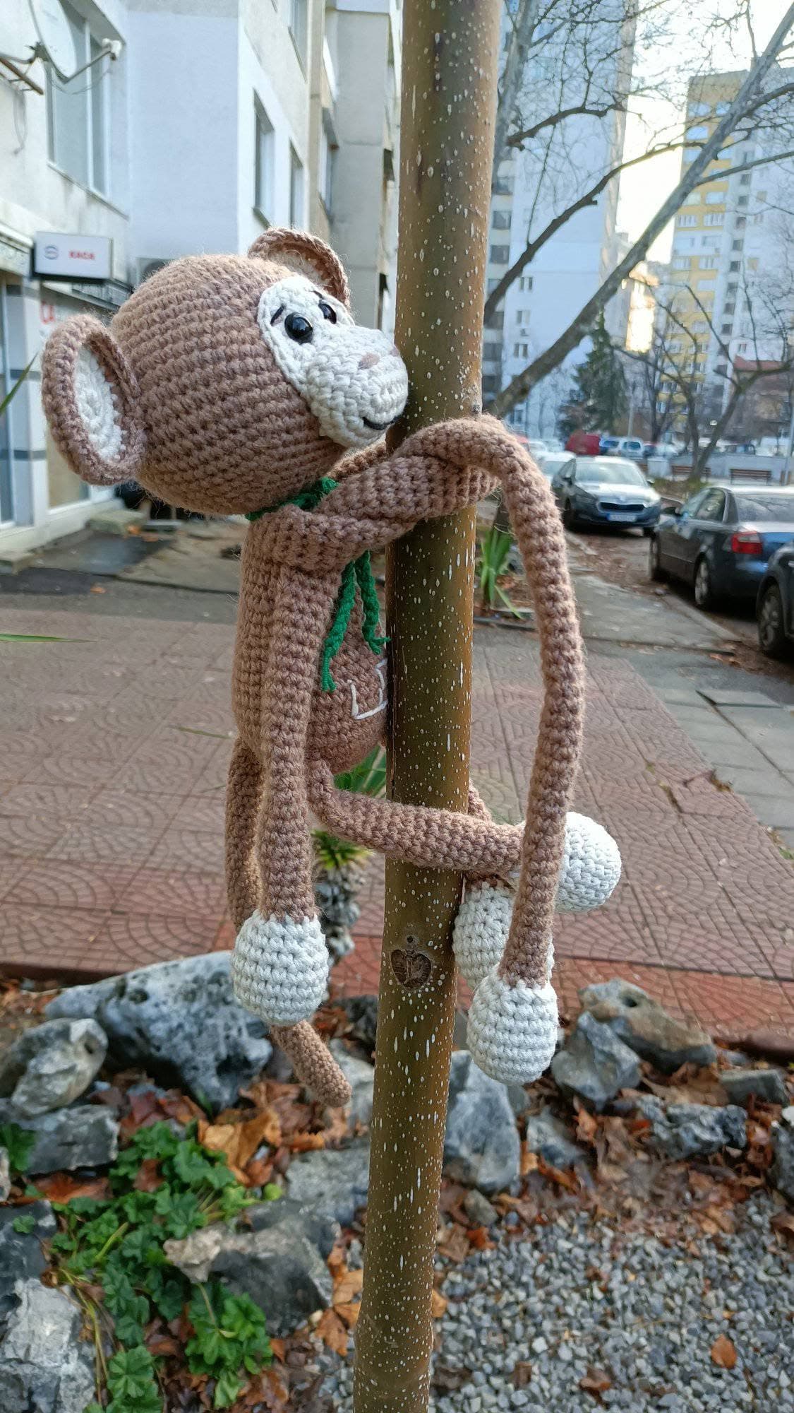 Маймунка с дълги ръце