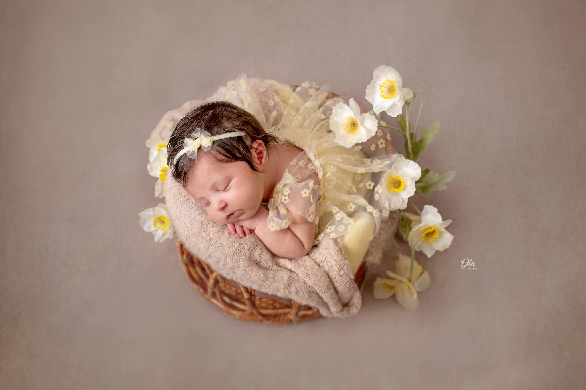 Arabella Photo Props